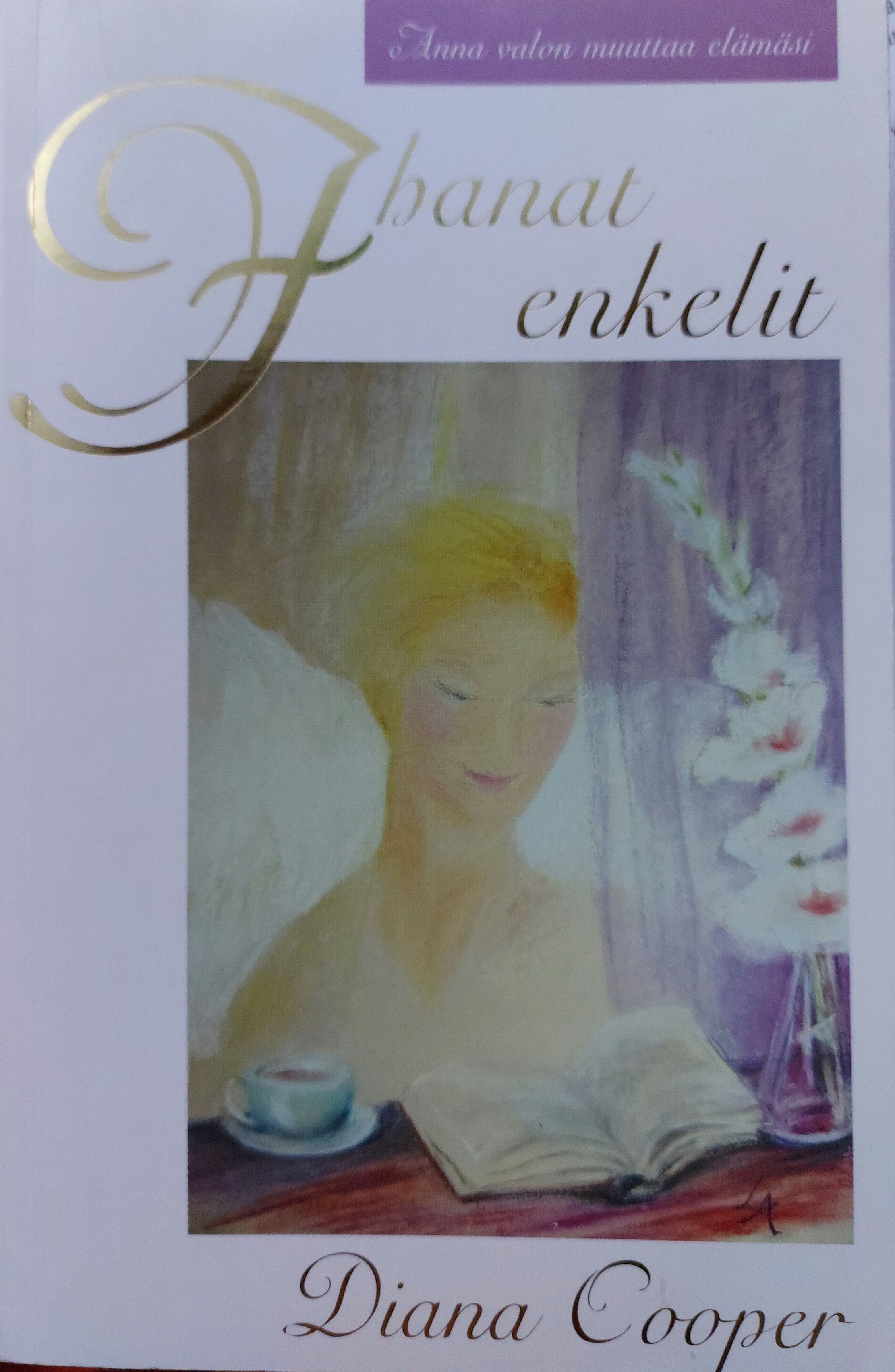 Ihanat enkelit etukansi